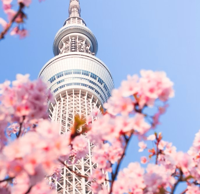 日本